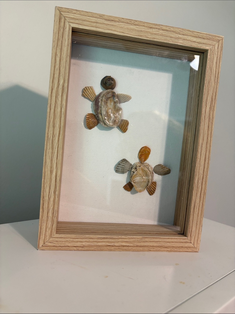 Natural Shell Turtle Wall Art - Beige & Brown